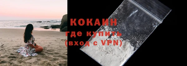 шишки Беломорск