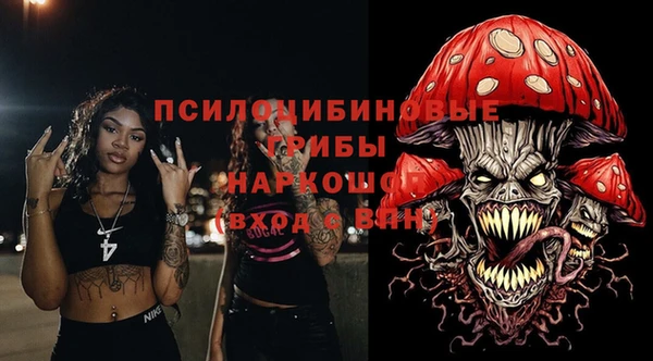 apvp Белокуриха