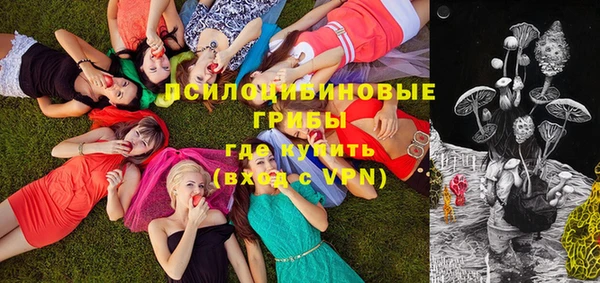 шишки Беломорск