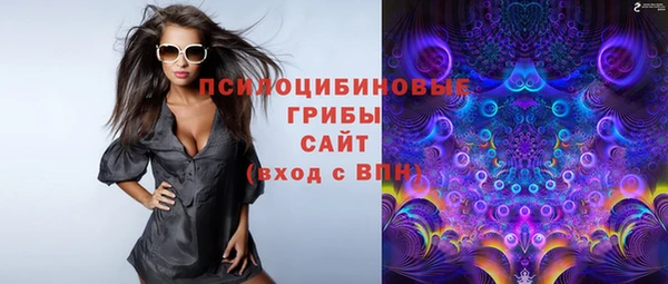 apvp Белокуриха