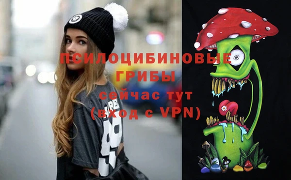 apvp Белокуриха