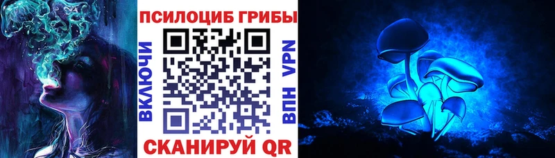 где можно купить Пионерский Галлюциногенные грибы MAGIC MUSHROOMS